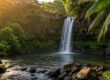 Tour to Hana