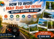 Maui Road trip