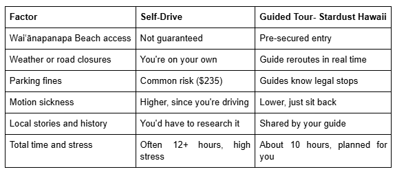 DIY Drive vs. Guided Tour in 2026