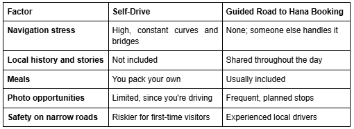 Self-Driving vs. Booking a Guided Tour