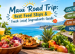 Maui road trip