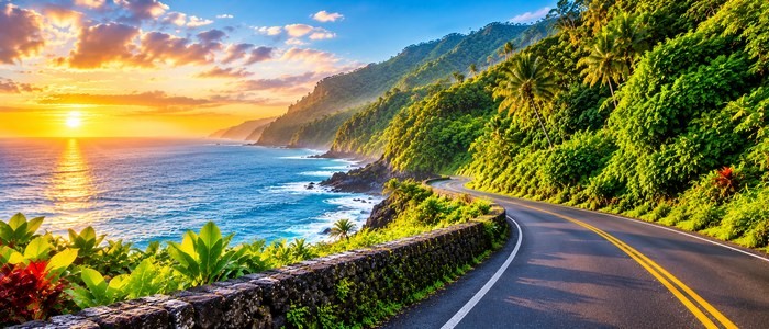 Maui Road Trip